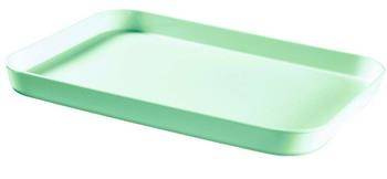 Dwustronna Taca Kelnerska/Suszarka do Naczyń Curver Essentials Seledynowa