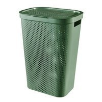 zielony