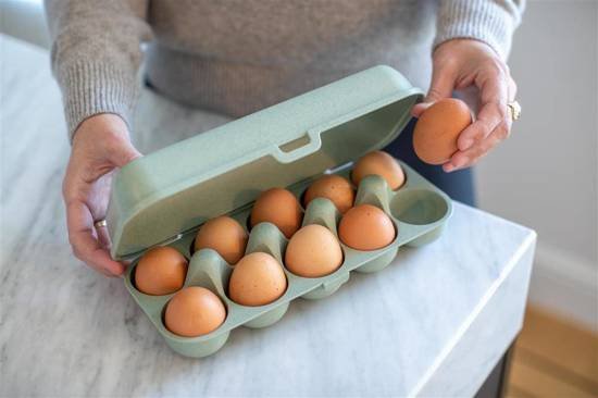 Pojemnik na jajka Eggs To Go org. Green 3179668