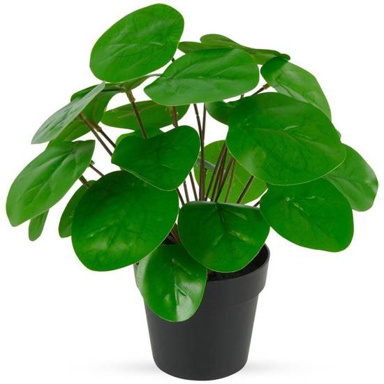 Sztuczna roślina w doniczce dekoracyjna pilea pieniążek 24 cm